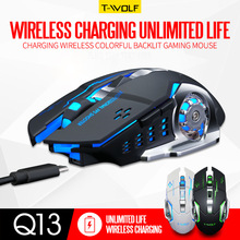 ����Q13Ӣ�İ�o�����2.4GH�o���Α�����߲ʰl�⁆�R�d���u����