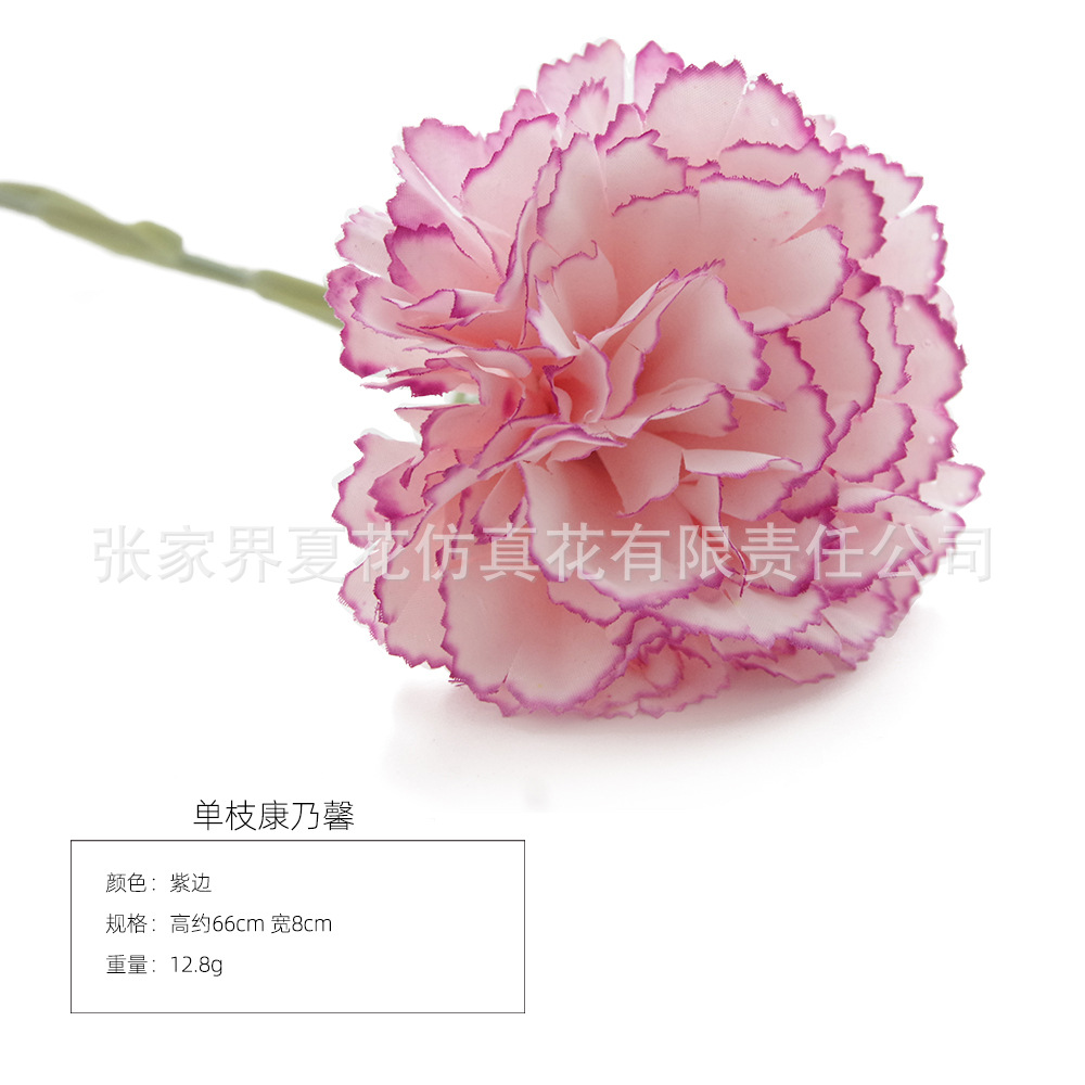 보라색 프린지