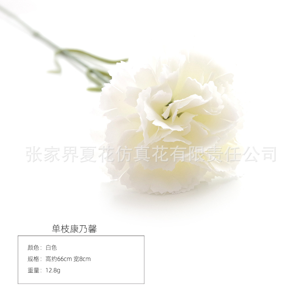 화이트