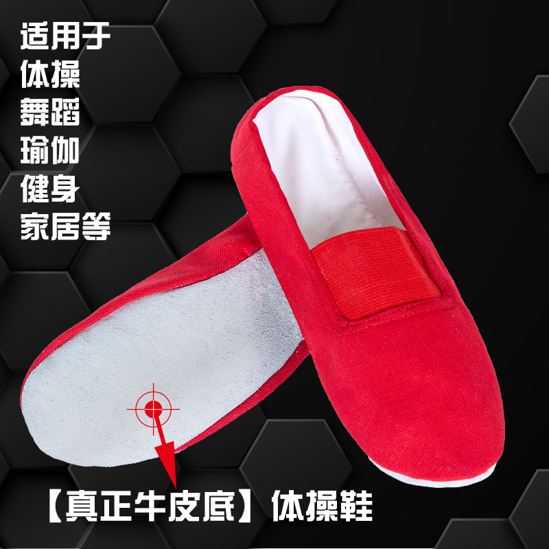 Zapatos de gimnasia zapatos de baile para adultos zapatos de práctica zapatos de baile de fondo suave zapatos de baile zapatos de práctica yoga Culturismo