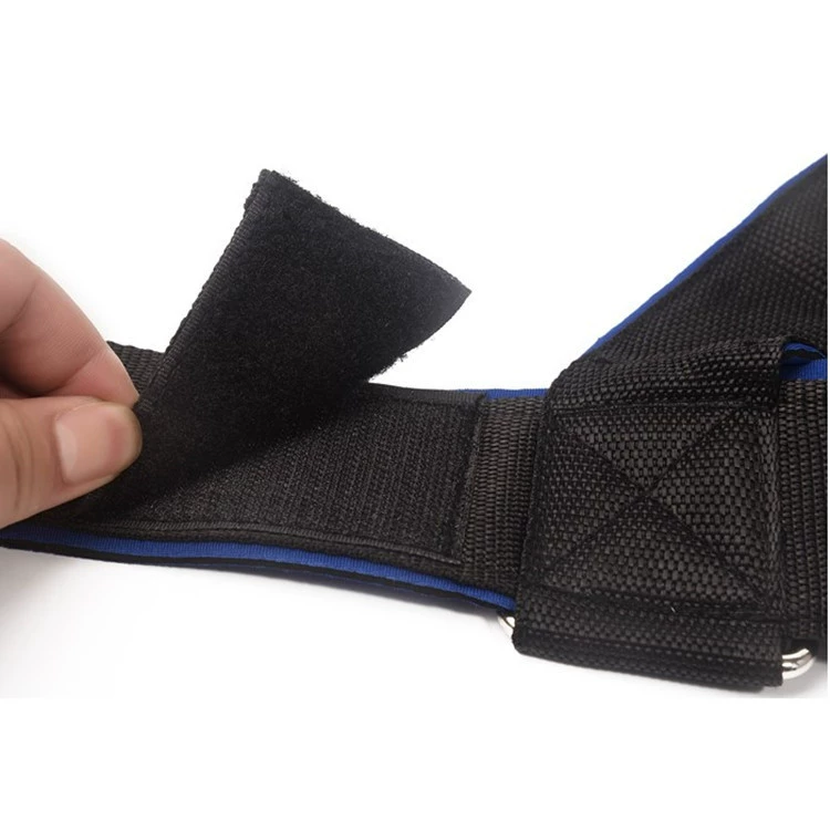 Neck & Head Training Harness (U-SHAPED) Adjustable Weight-Bearing Strap, Chain Option