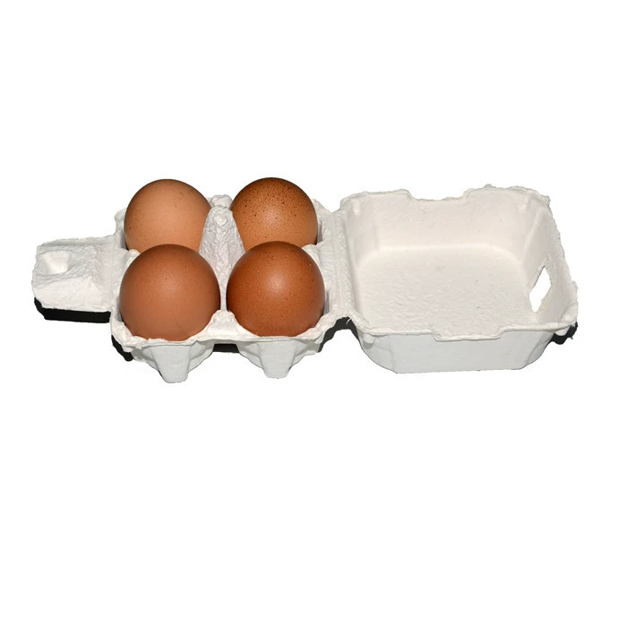 Держатель пульпы коробки яйца земли коробки пульпы держателя пульпы подноса 4 белых яиц отлитый в форму пульпой упаковывая