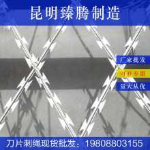防盗网 镀锌铁丝网 浸塑刺铁丝 刀片刺绳 防盗铁丝网云南昆明直供