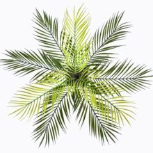 9�^�F������ Ҭ���~���Դ��~��ɢβ���~ ��c����ֲ��廨���