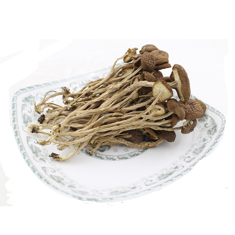 益爾 農家新貨茶樹菇幹貨批發茶薪菇不開傘煲湯茶樹茹500g
