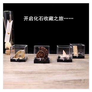 �����ﻯʯԭʯ�^�[����ʯ���~�x�������X��ʯ���ս̌W�˱�