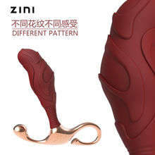 ZINIǰٰĦͥĦֶƷ