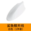 White box