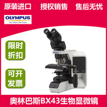 OLYMPUS奥林巴斯显微镜BX43 三目生物显微镜 LED光源