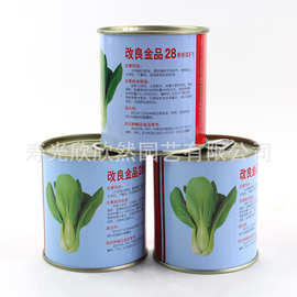 改良金品28青梗菜种子 耐热耐湿抗病高产小青菜小白菜 油菜种子
