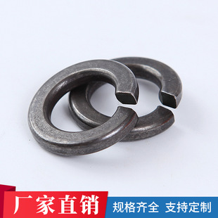 SֱN՘˱ɫ|ߏȏ|׼ɉ|Ȧߏȏɉ|Ȧ