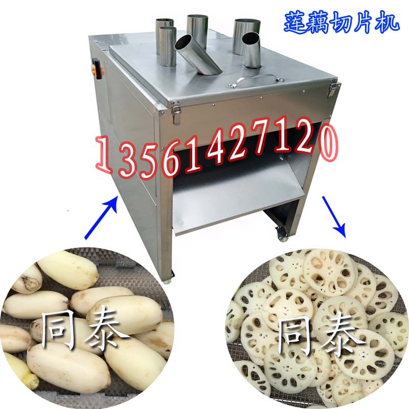 生产厂家供应定向莲藕藕片切片机 商业莲藕切片机器 厚薄可调
