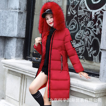 ŮLëIn2019¿b\aӺq޷