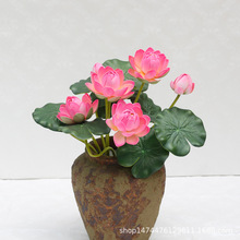 仿真荷花7头EVA手感小睡莲装饰花 供佛小莲花