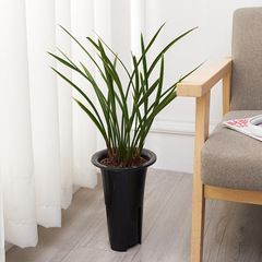 蘭花盆控根塑料花盆透氣不爛根基地苗圃用黑色蘭花花盆批發