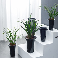 蘭の植木鉢は根のプラスチックの植木鉢をコントロールして通気します。