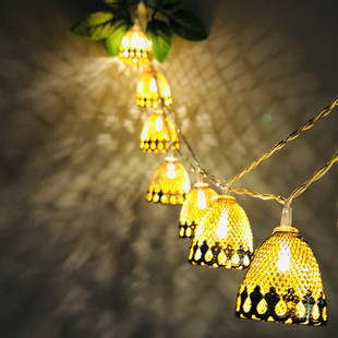 Christmas decoration LED pine nut light string Hazelnut Christmas tree room Courtyard decoration holiday lights USB