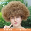Colorful hair-brown