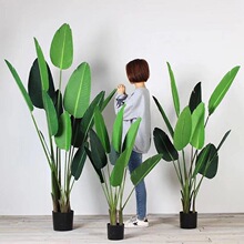 ��~ֲ�����佶���˽��������l �辰���W���㽶�Ꭷ�����B�Ž�