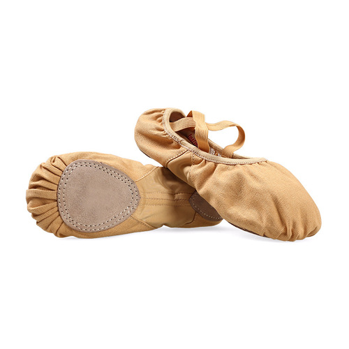 Dancer's Song Stretch Mesh Canvas Lace Dance Shoes Cat Claw Shoes Soft Sole Women's Exercise Shoes Ballet Shoes Yoga Shoes