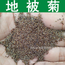 ݻN رշN ջ ǧ^շN ƷNͻɫSC 1=1