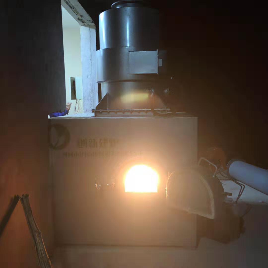 宠物尸体火化炉 动物尸体无害化处理 动物尸体焚烧炉厂家销售