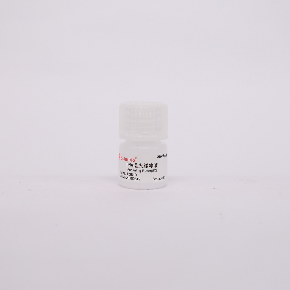 D2810 DNA退火缓冲液（5X）索莱宝 质量可靠  siRNA质粒构建