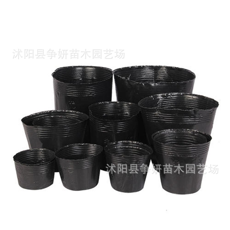 Wholesale Nutrition Bowl Cup Radio Cup Thickening Black Plastic Ruin…