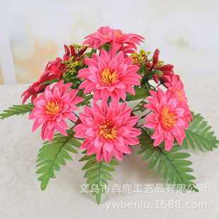 ����ջ��軨13�^�����ռٻ����c�[�����컨���Խ������ϻ������l