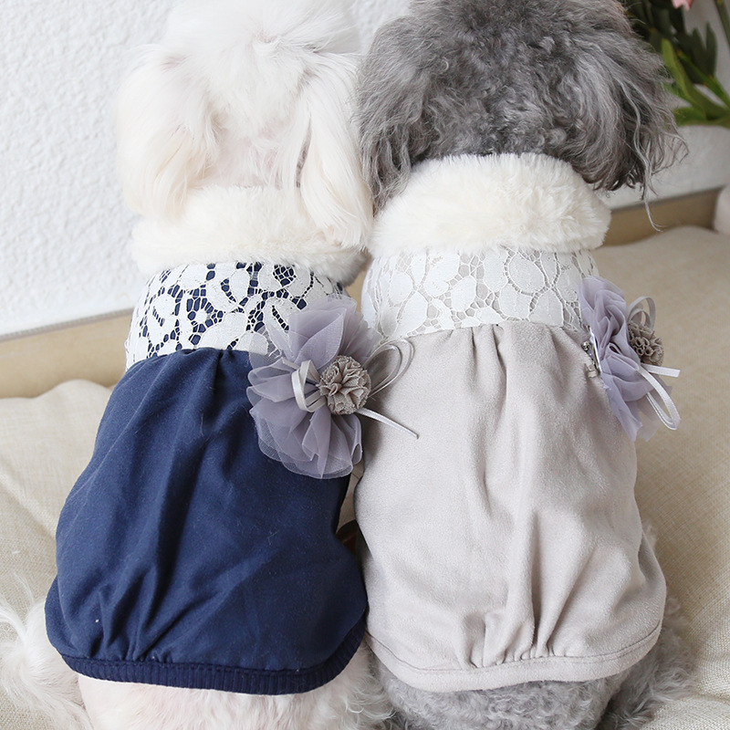 Petstyle ﶬ ػ · èèӺů