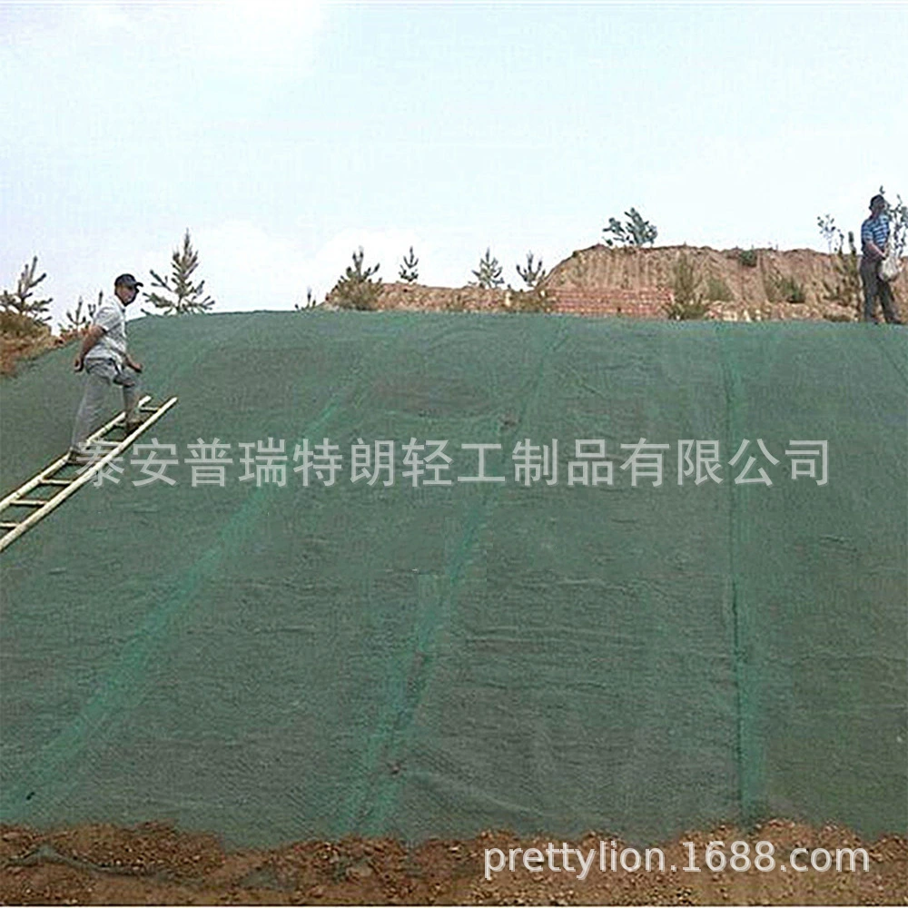 Цена по прейскуранту завода-изготовителя Шаньдун, прямые продажи со скидкой различных типов пластиковых трехмерных растительных геотехников, трехмерных сетчатых ковриков,
