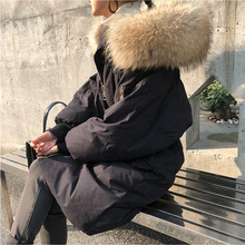 ����ë�I���u��q���ɿ˷���ë�������ë�I�ӆ��Ië�l������ë�I