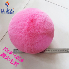 ����ë���c����ë�q���Ʒ��ɫ�«H�Ä������ë��չ������b�