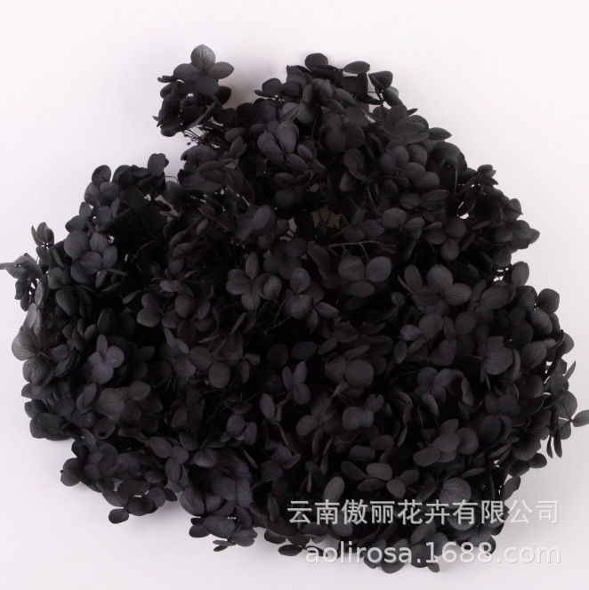 Grado A Anna Hortensia flor permanente flor seca Hortensia de hoja pequeña 20g Hortensia en caja fábrica al por mayor MATERIAL DE FLOR DE San Valentín
