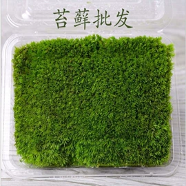 茶壶;茶杯;茶海/公道杯
