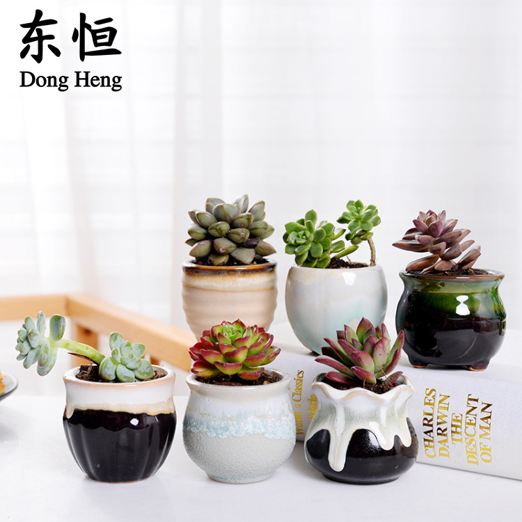 Dongheng Succulent Plant Ceramic Thumb Pot Kiln Variable Flow Glaze Succulent Ceramic Small Flower Pot Desktop Ornament Flower Pot