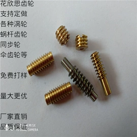 齿轮;渔线轮;飞轮/齿轮