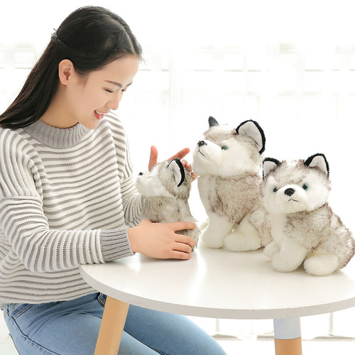 Ins simulation Husky plush toy, small dog, Shiba Inu doll, small size, birthday gift for girls