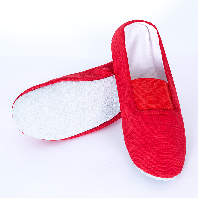 Zapatos de gimnasia zapatos de baile para adultos zapatos de práctica zapatos de baile de fondo suave zapatos de baile zapatos de práctica yoga Culturismo