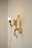 Monkey left golden