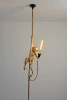 Monkey golden