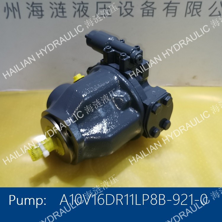 A10V16DR11LP8B-921 HATCH COVER HYD PUMP CRANE舱盖油泵克令吊