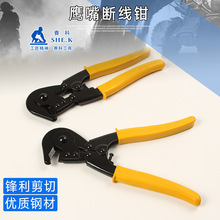 ِ������ྀ�Q����늾�������䓽z�Q��|��10�����׻����Q�о���