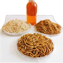 lSx^p~ʳ }ƷZʳ yellow mealworms