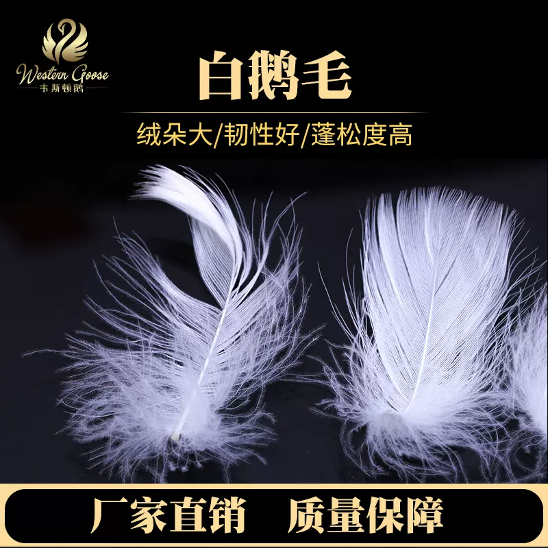 水洗白鹅绒片 填充抱枕枕芯床垫填充羽绒厂家现货批发羽毛鹅毛