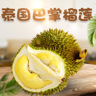 �M��̩�����ƽ�����ɏ ���l2/7����Ŵ������ɏA�����rˮ����؈ɽ