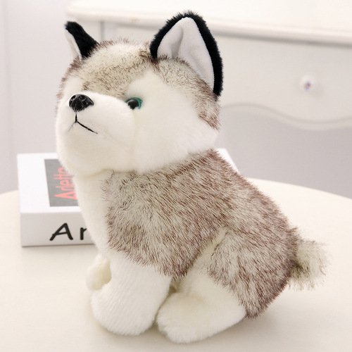 Ins simulation Husky plush toy, small dog, Shiba Inu doll, small size, birthday gift for girls