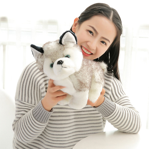 Ins simulation Husky plush toy, small dog, Shiba Inu doll, small size, birthday gift for girls