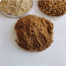 貂狐狸饲料 dried mealworm powder