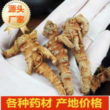 ������ �����ɽ���ߴ����߷�Ұ��20�^500g��������